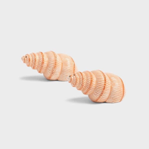 Klevering Shell Salt and Pepper Set (2 pieces)
